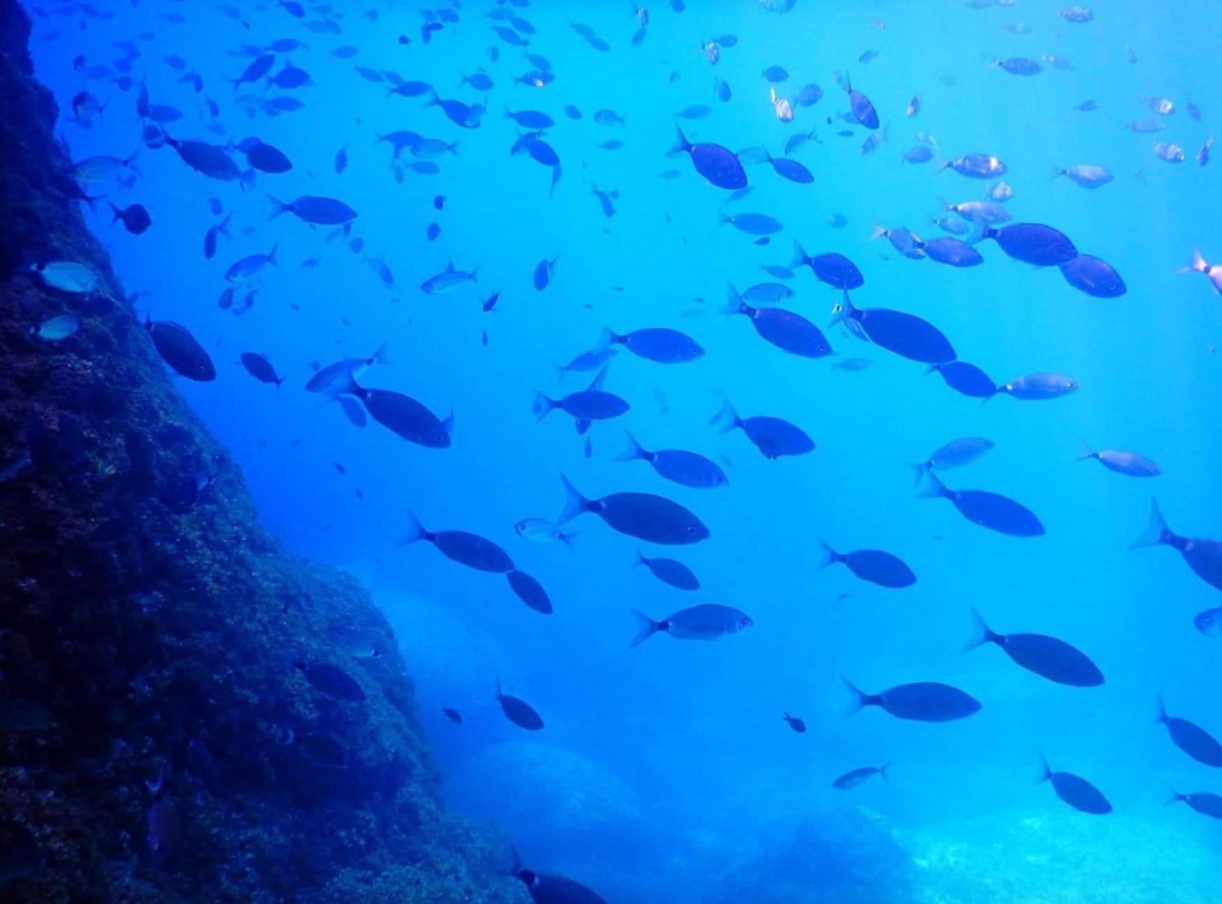 Aparthotel Antica Dimora Donna Filomena Marina di Camerota Esterno foto